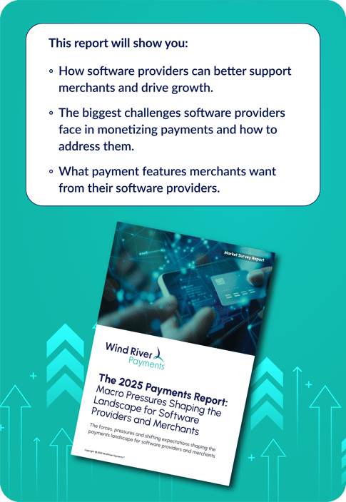 CI Payments Report Landing Page Image 2025 V4